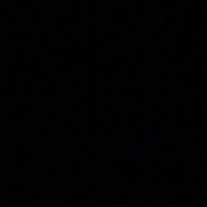 Meet your Posher, Dylan